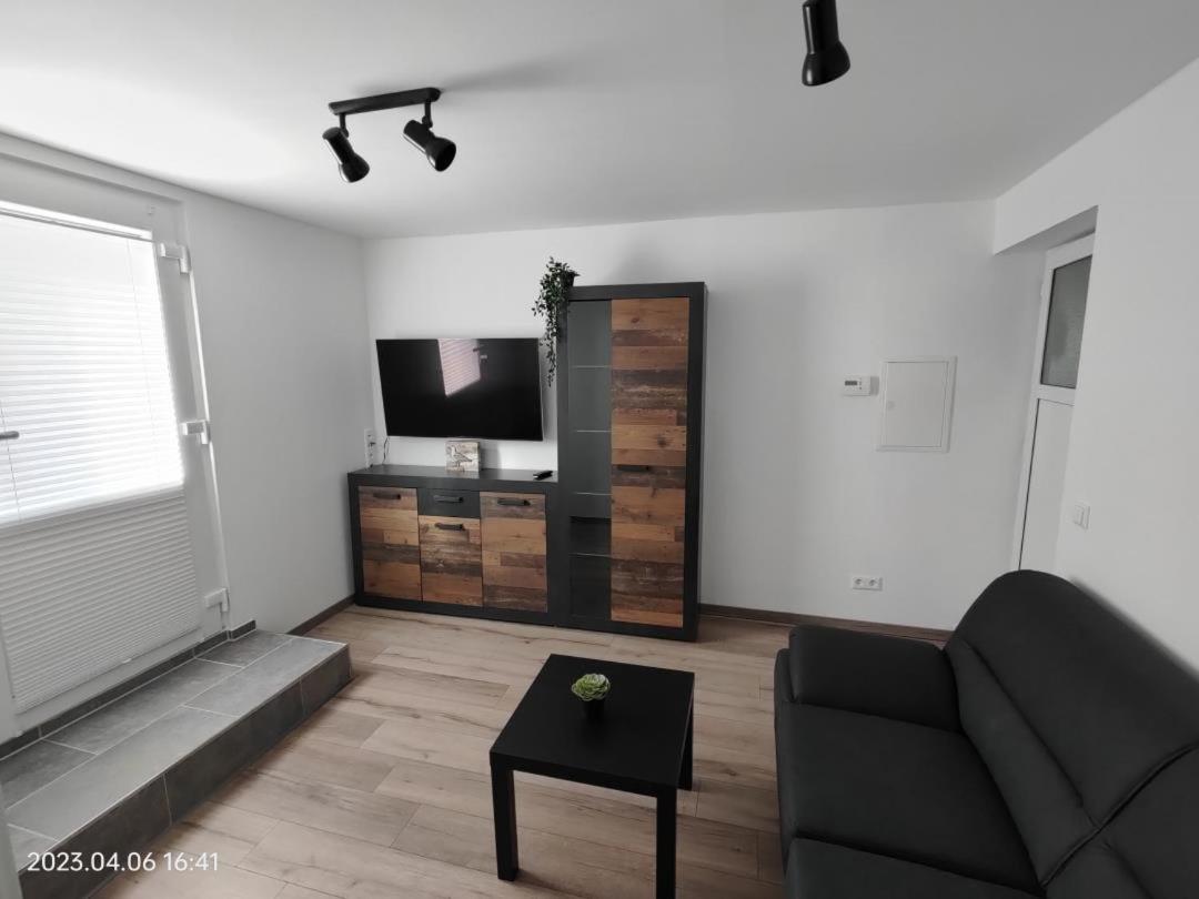 Ferienwohnung Wildgans 2 Dollart Ostfriesland Ditzumerverlaat Екстериор снимка